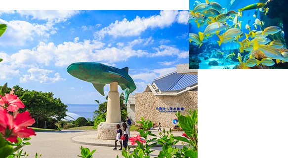 国営沖縄記念公園(海洋博公園):沖縄美ら海水族館