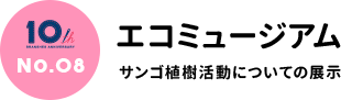 エコミュージアム サンゴ植樹活動についての展示