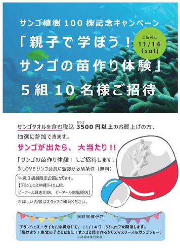 親子で学ぼう！サンゴの苗作り体験　ご招待