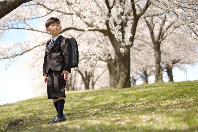 桜の下の小学生