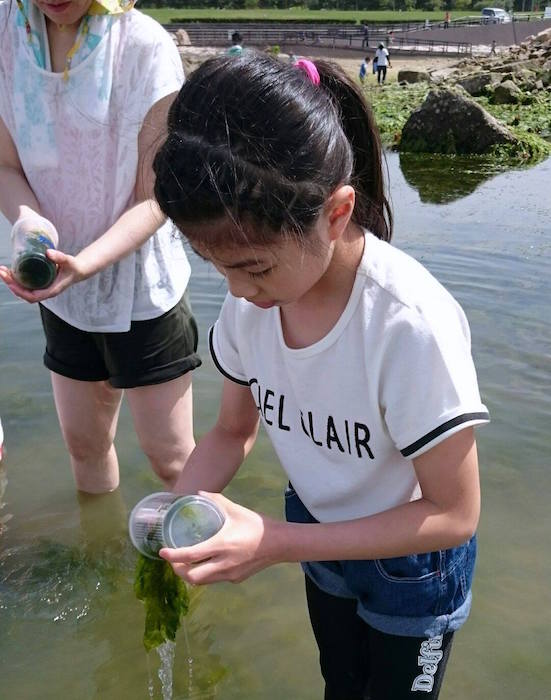 ポットを洗うアマモガールズ