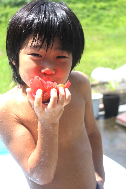 トマトを食べる男の子
