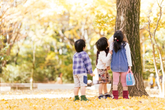 木を見上げる子どもたち