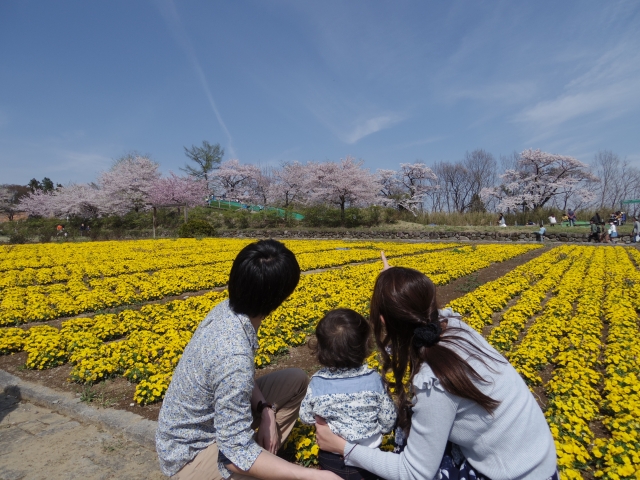 お花畑の前の家族