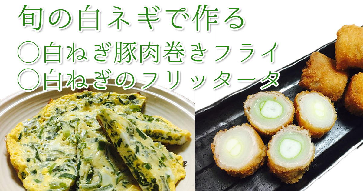 白ネギで作る料理