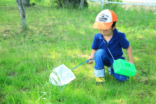 虫取りをする子ども