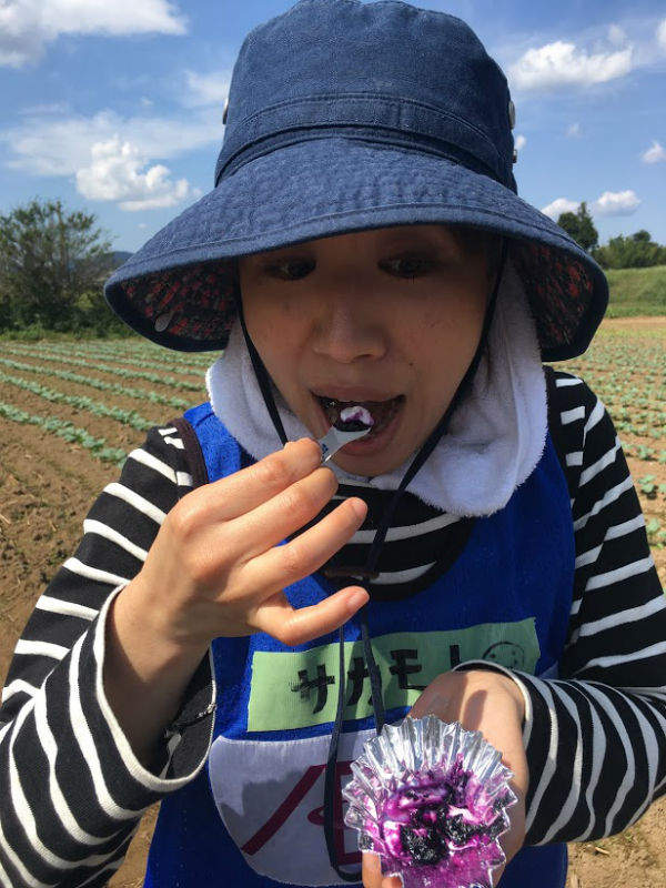 ハックルベリー試食