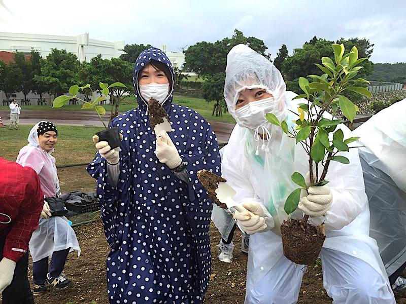 沖縄の植樹