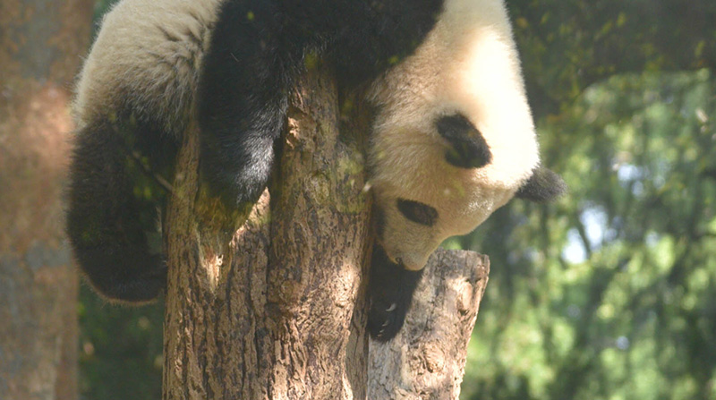 morningzootour23