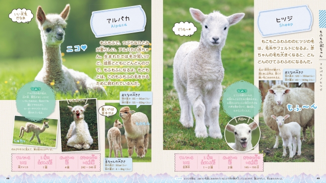 もふもふ動物の赤ちゃんが大集合 かわいすぎる学習図鑑が新発売 What S New 子供服のブランシェス Branshesコーポレートサイト
