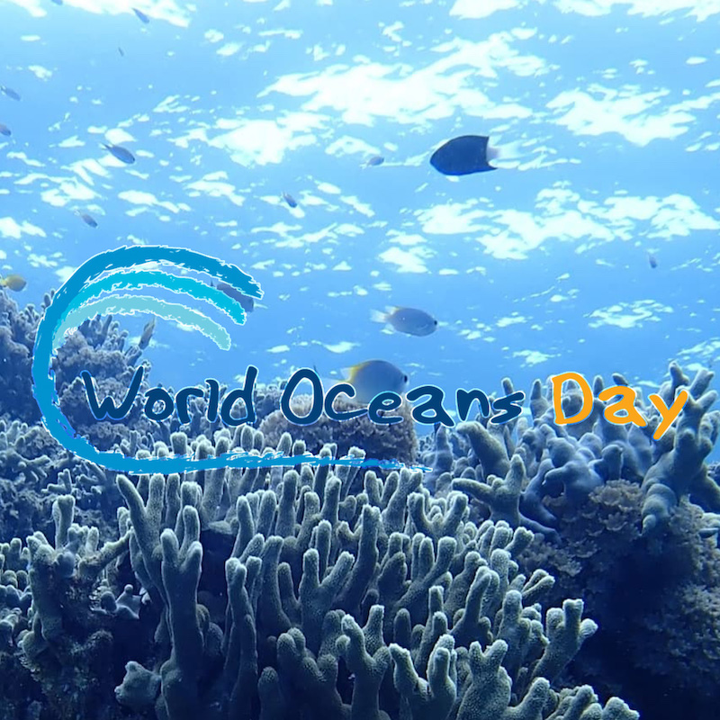 world oceans day