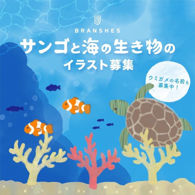 サンゴと海の生き物のイラスト大募集