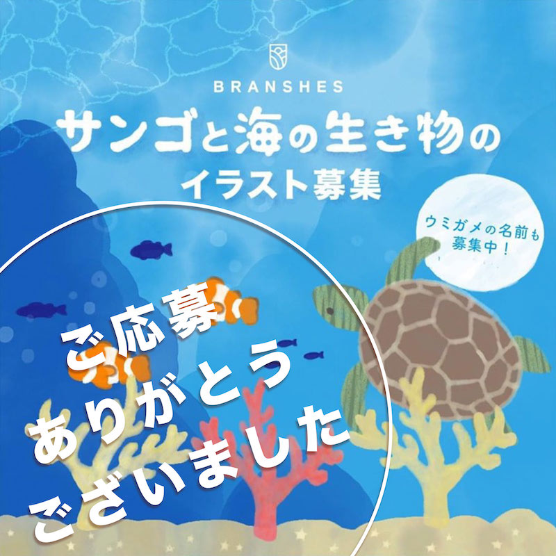 サンゴと海の生き物の絵 子ガメの名前 ご応募ありがとうございました 子供服のブランシェス Branshesコーポレートサイト