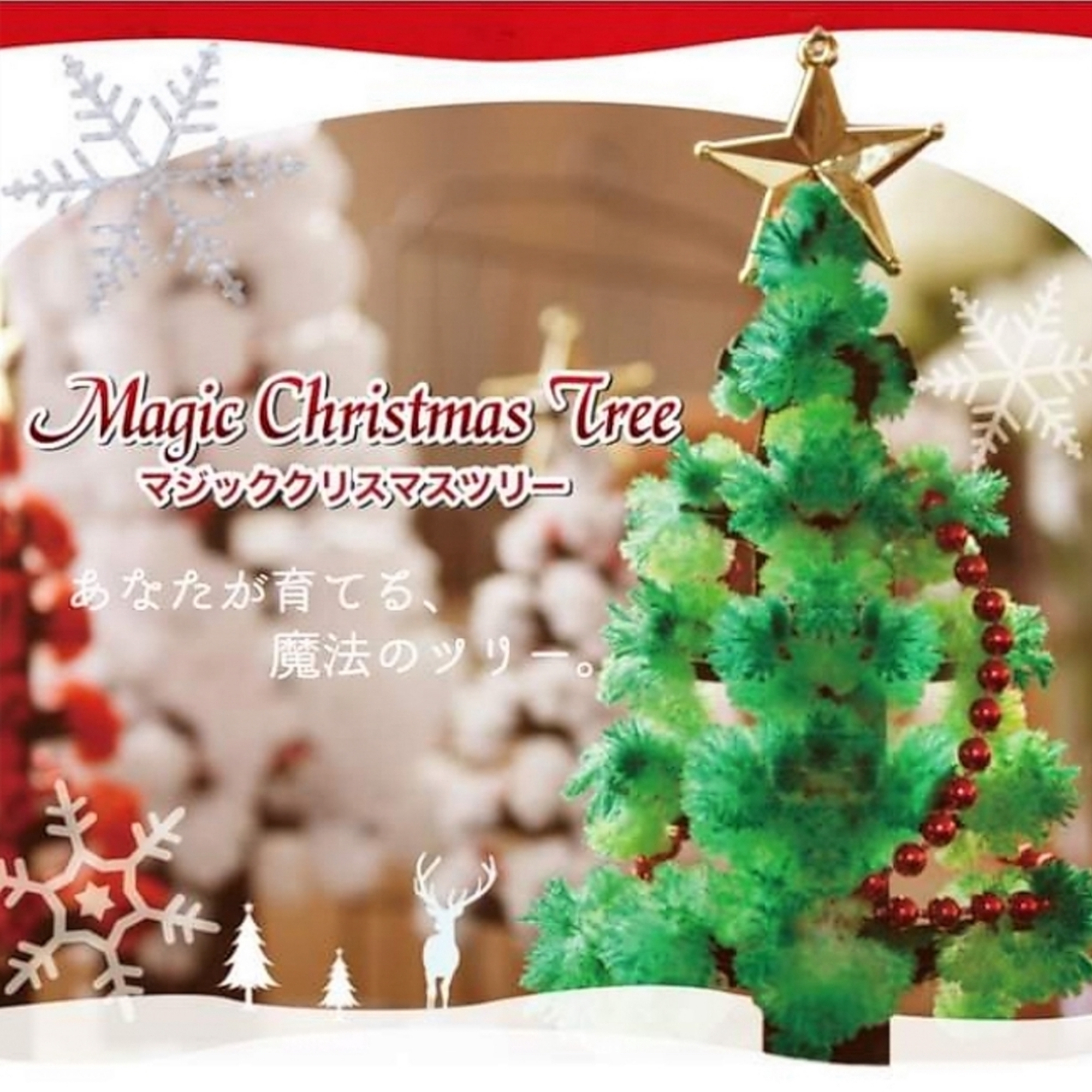 マジッククリスマスツリー 育てる魔法のツリー What S New 子供服のブランシェス Branshesコーポレートサイト