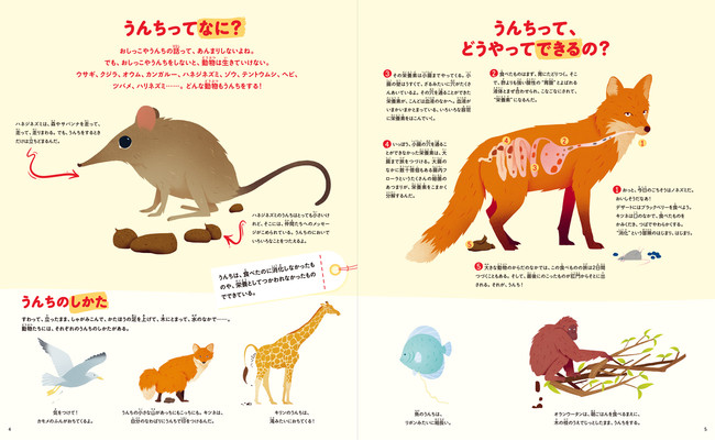 動物のうんちえほんの中身