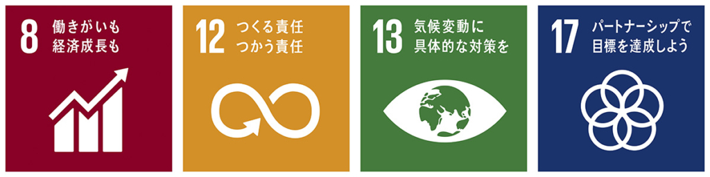 SDGs8-12-13-17